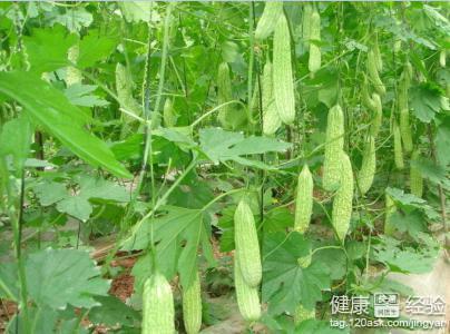 第1步