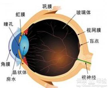 老年性白內障的最佳治療時間