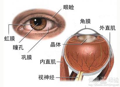 中醫按摩保健操治療白內障