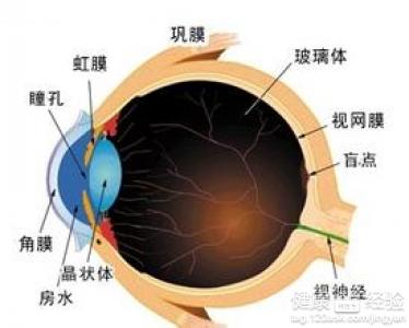 夏季當心“曬”出白內障