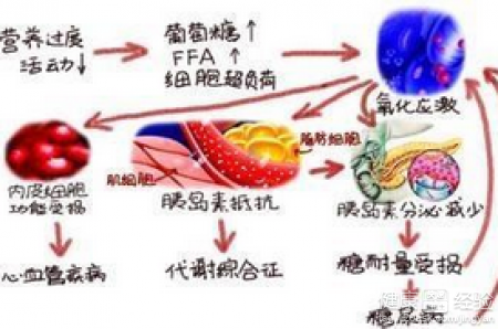 第1步