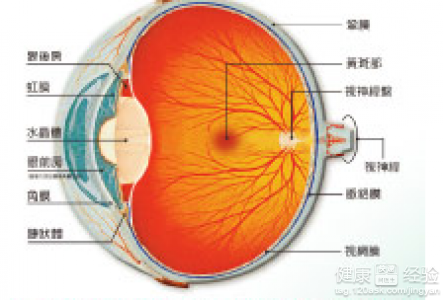 白內障的分類跟病因