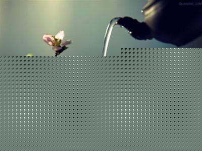 第3步