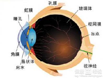 白內障早期有哪些症狀表現?