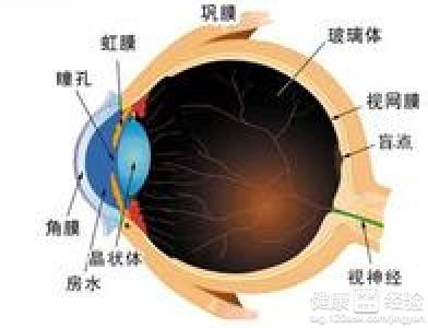 生活中預防白內障的小妙方