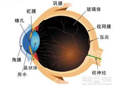 白內障的患者怎麼治愈？