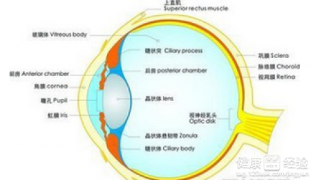 小學生近視眼的主要因素