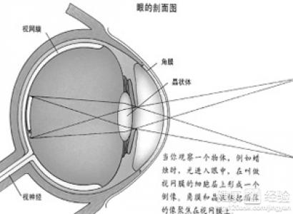 第1步