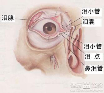 第3步