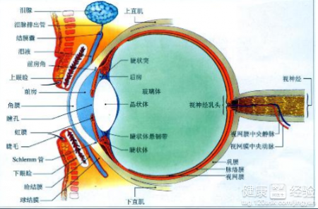 第1步