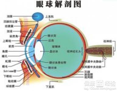 第1步