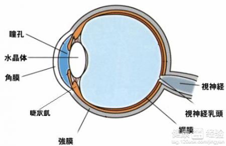 第3步