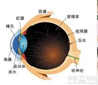 現在很多人都近視了，可以治療預防試試吧？