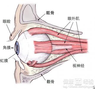 做了激光手術後怎麼保護眼睛？