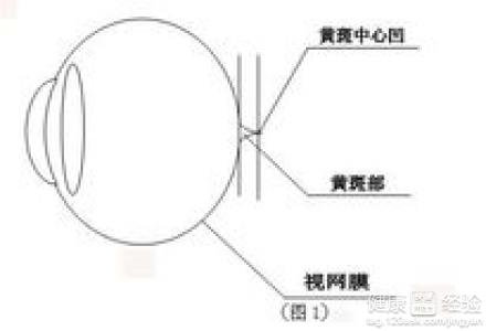 怎樣預防近視