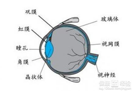 日常生活中對遠視眼怎麼食療好