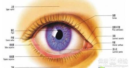 紅眼病怎麼預防