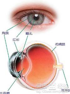 免疫系統造成紅眼病該如何恢復