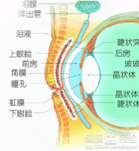 第1步