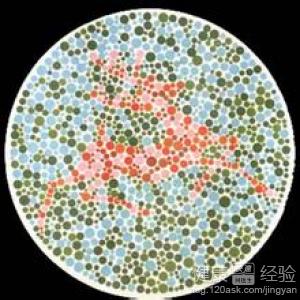 穴位按摩療法可以治療色盲