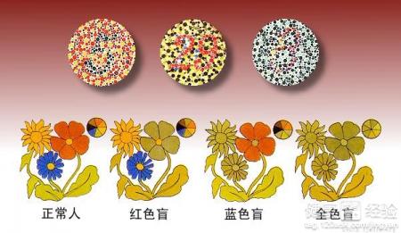 哪些食物能預防色盲