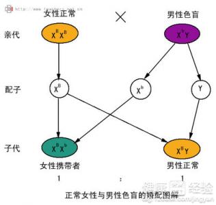 第1步