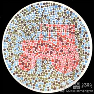 孕前怎樣辨別胎兒是不是色盲