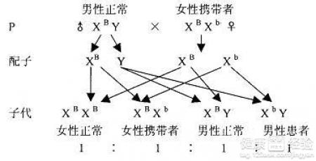 第1步