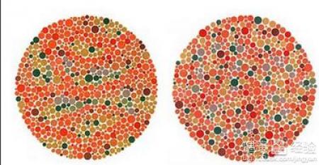 色盲可以吃哪些藥