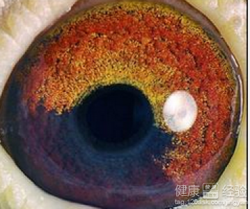 第1步