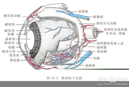 第1步