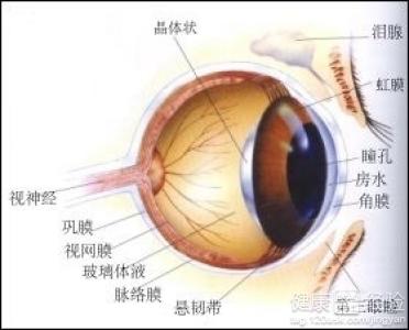 不可輕視的沙眼6個預防沙眼的小技巧