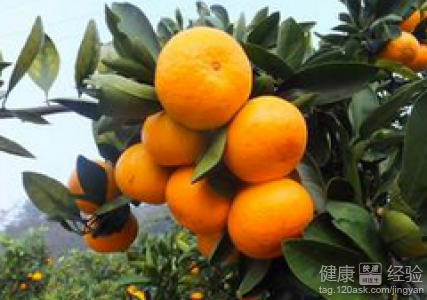 第3步