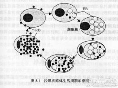 第1步