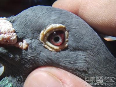 第2步