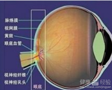 第1步
