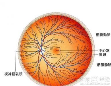改變生活習慣防視網膜病變