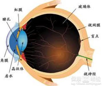 視網膜脫落能治好嗎