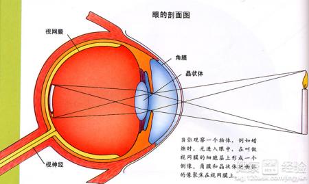 視網膜脫落導致眼睛失明可以手術復明