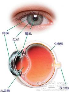視網膜脫落手術需要住院