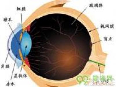 第1步