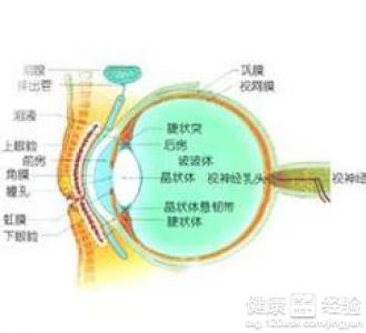 視網膜脫落術後有哪些異常反應呢
