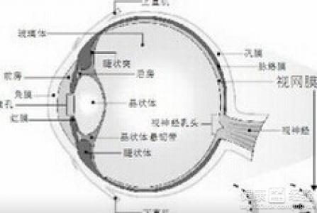 第1步