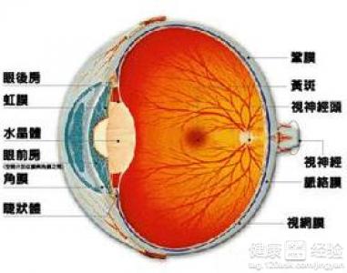 視網膜脫落手術有什麼風險