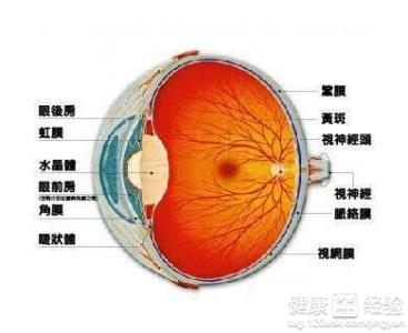 視網膜病變和視網膜改變有什麼區別