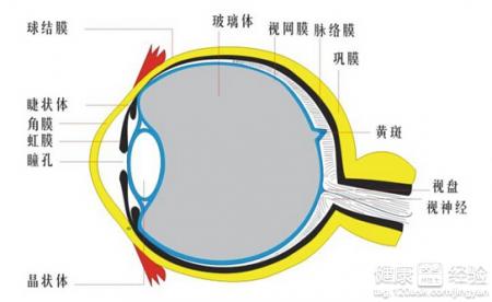 第1步