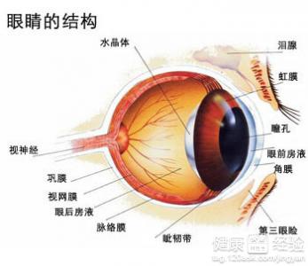 珠蛋白生成障礙性貧血視網膜病變的症狀