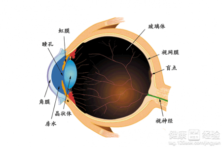 第1步