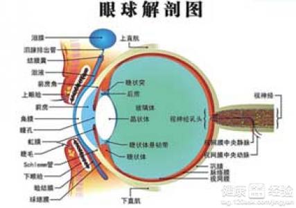 第1步