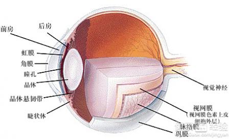 糖尿病視網膜病變，眼底出血現視力低下怎麼辦